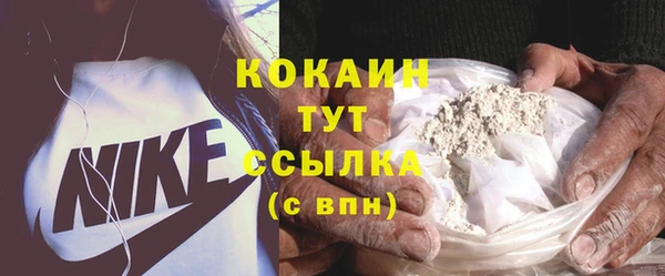 трава Арсеньев