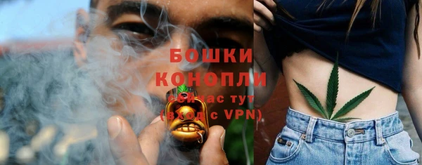 трава Арсеньев