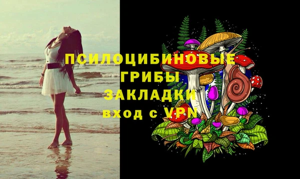 трава Арсеньев