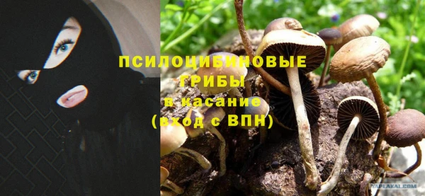 трава Арсеньев