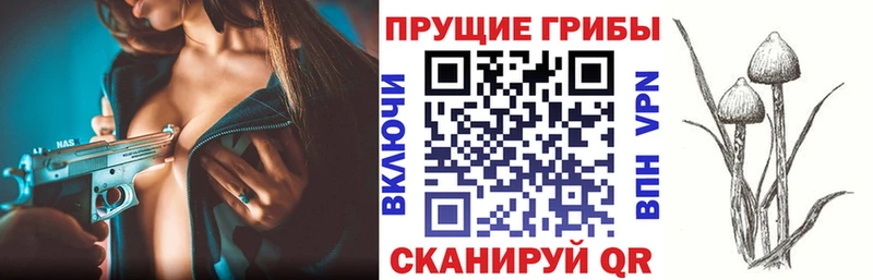 где продают наркотики  Малгобек  Галлюциногенные грибы мицелий 